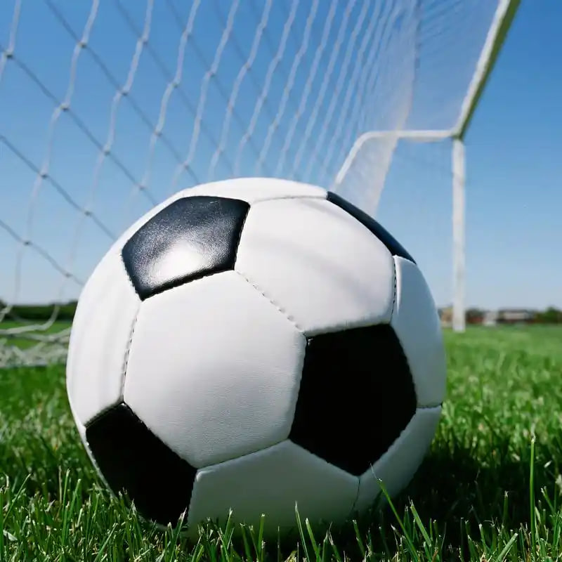 教育培训机构使用场景