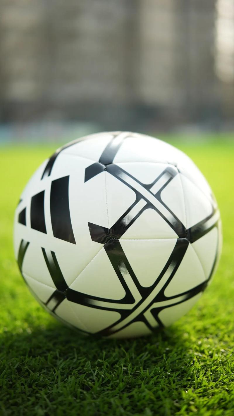 足彩胜平负计算公式工具界面展示